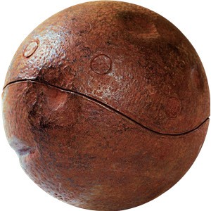 img-thing--1-.jpg
